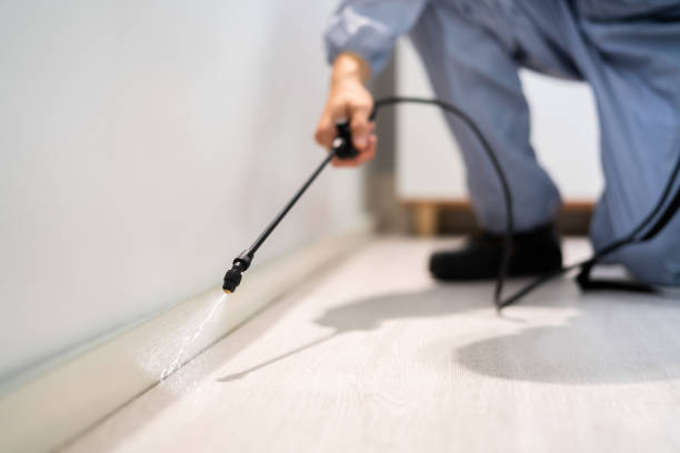 Rodent Entry Point Assessment in Fife Heights