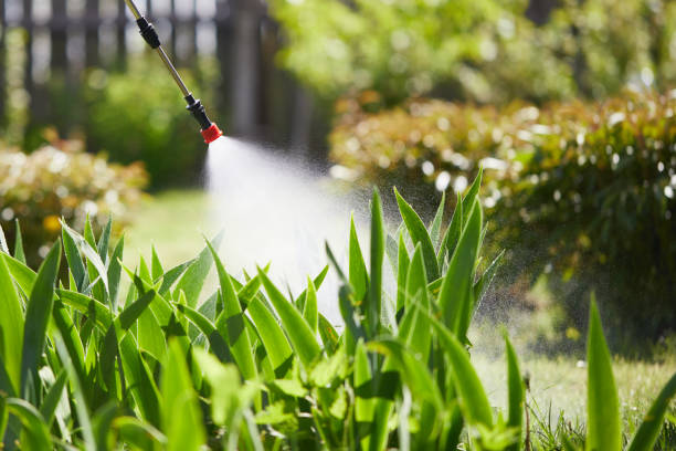 Tamper-Resistant Bait Stations for Rodents in Fife Heights