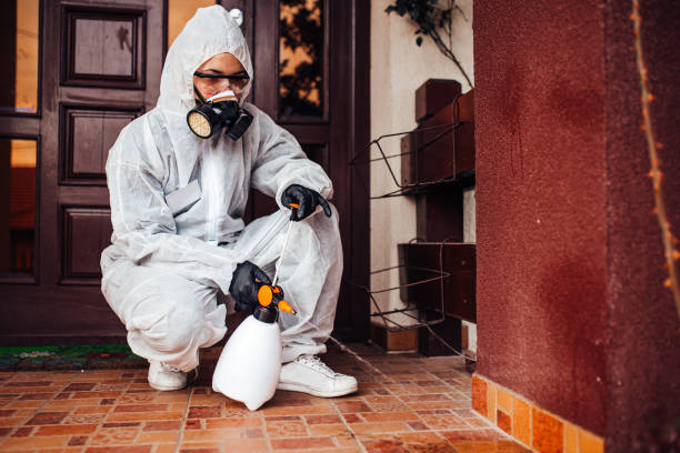 Attic and Crawl Space Rodent Treatment in Fife Heights